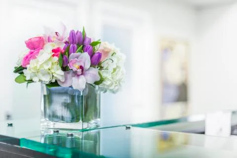 Interior of Reception at the clinic Stock Photos