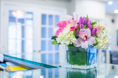 Interior of Reception at the clinic Stock Photos