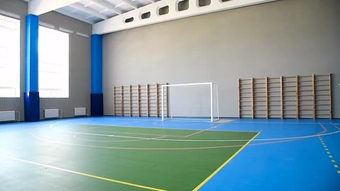 Interior of the school sports hall 動画素材 252519936