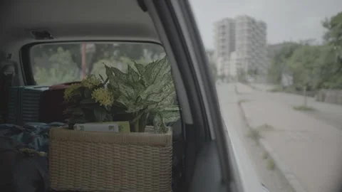 Interior shot of car trunk Stock-Footage 327454827