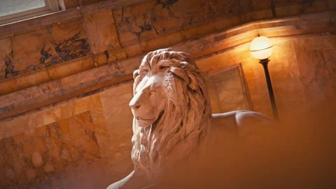 Interior Shots of Boston Public Library Historic Stairs Lion Statue Architecture Stock Footage 327384774