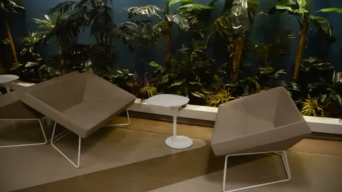 Interior. Sofas and palm trees Stock Footage 100082785