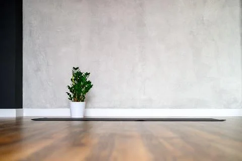 The interior of the studio room for yoga and stretching, a rubber mat and a p Stock Photos