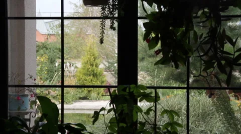 The interior of stylish modern house. View of the garden opening from the window Stock Footage 64078742