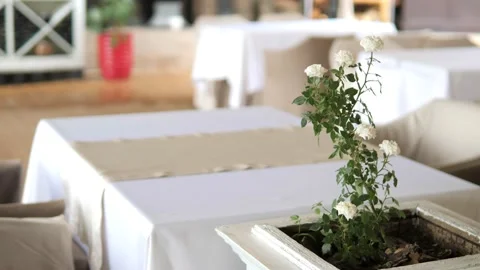 Interior of a summer terrace of restaurant Stock Footage 133137982