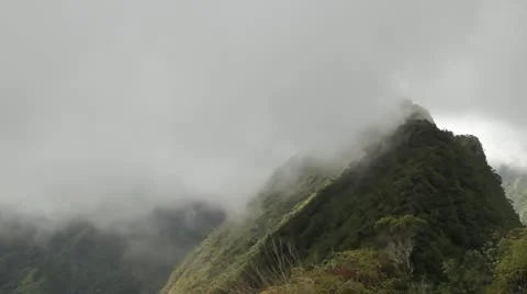 Interior of Tahiti Stock Footage 11211786