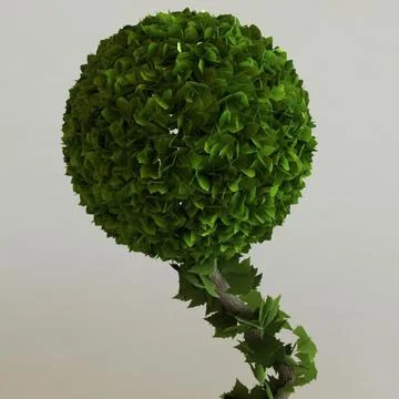 Interior Tree 3D Model