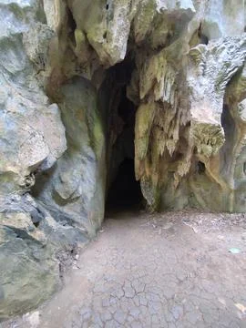 Interior view of a cave in the forest. Natural background. Stock Photos