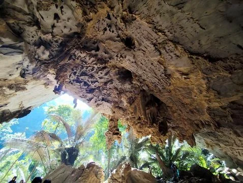Interior view of a cave in the forest. Natural background. Stock Photos