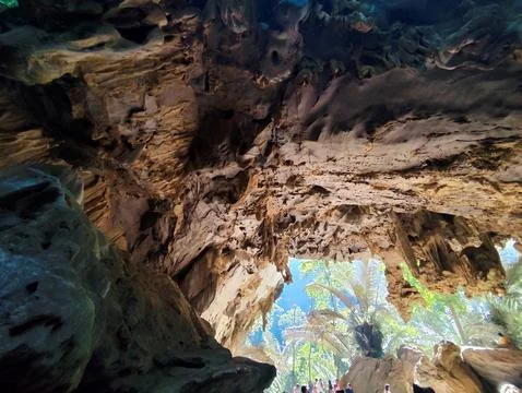 Interior view of a cave in the forest. Natural background. Stock Photos