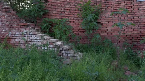 Interior View of Derelict Rural Pig Farm through Broken Wall Stock Footage 333939466