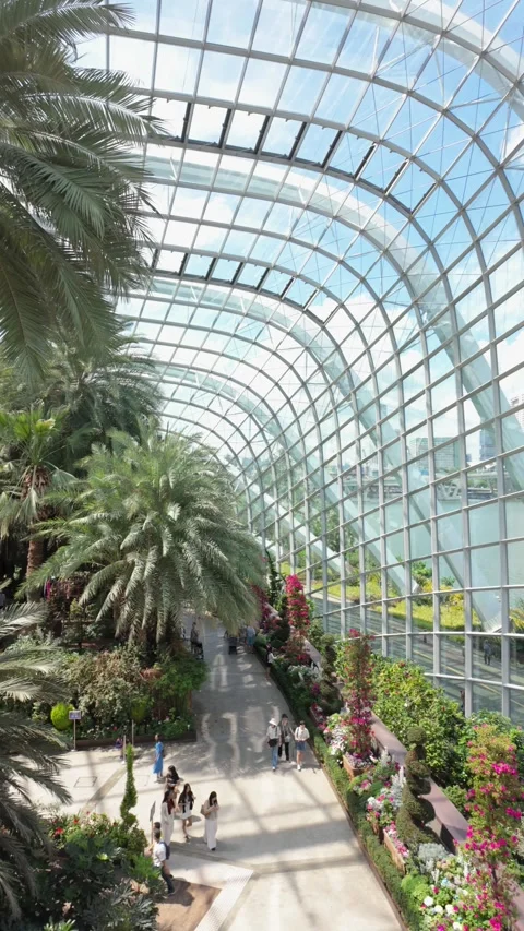 Interior view of the Flower Dome at Gardens by the Bay, Singapore Stock-Footage 346986887