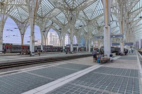 Interior view of Gare do Oriente's striking canopy with white lattice structu Stock Photos