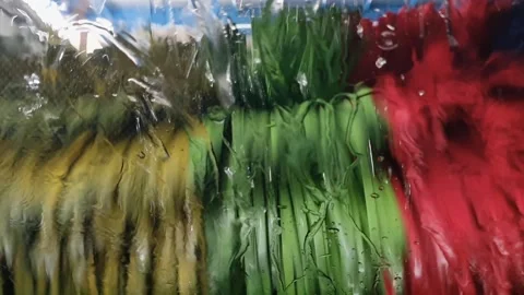Interior View: Get a unique perspective of an automatic car wash as seen fr.. Stock Footage 279296010