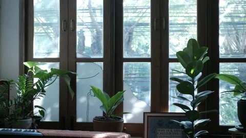Interior view inside the warming lonely cafe with electric piano , tree and b Stock Footage 208941216