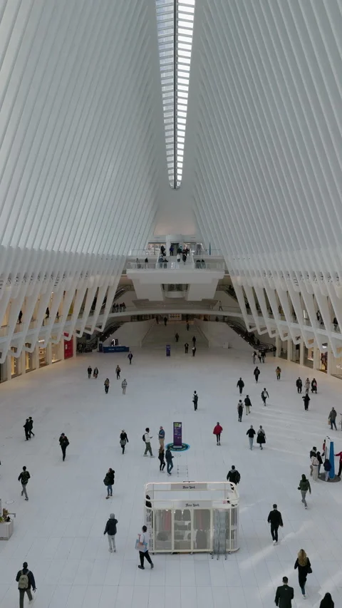 Interior view of Oculus transportation hub Stock Footage 333256561