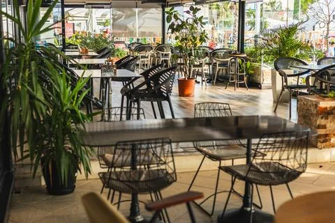 Interior View of Restaurant with Decorative Trees at Sunset Durres Albania Stock Photos