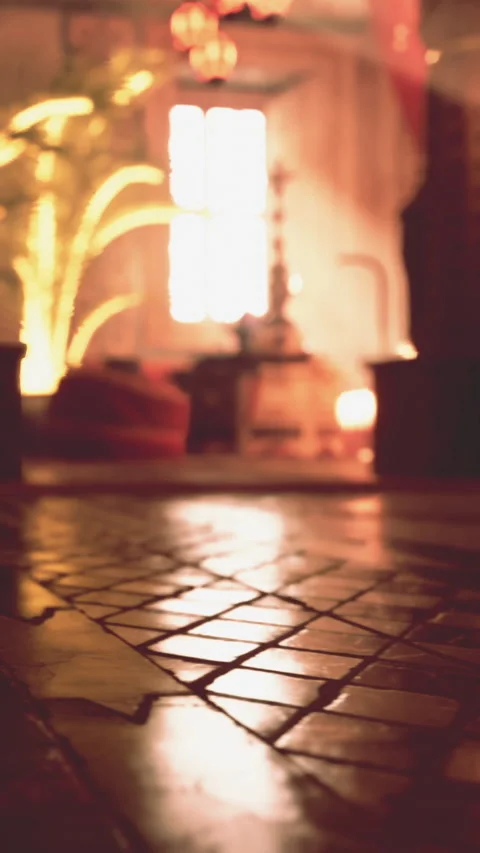 Interior view of a room with low lighting and decorative plants Stock Footage 342654251