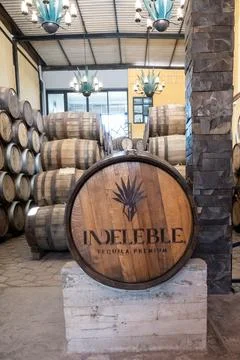 Interior view of a tequila distillery, showcasing oak barrels for aging liquor Stock Photos