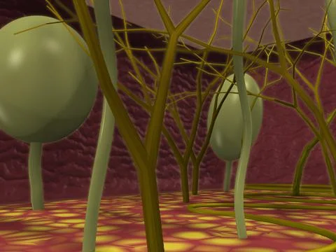 Interior view of touch sensory nerves of the dermal layer of skin Stock Illustration