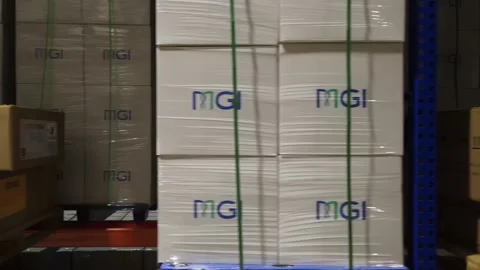 Interior of a warehouse storage with pallets, high shelves, boxes, loaders. Stock Footage 193514363