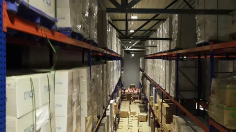 Interior of a warehouse storage with pallets, high shelves, boxes, loaders. Stock Footage 193517541