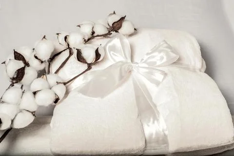 In the interior a warm blanket with a layout for a caption Cloud Dancer Stock Photos