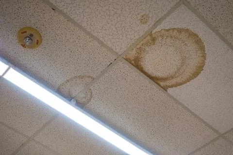 Interior Water Spots on Ceiling Mold Disrepair Damage Tiles Stock Photos