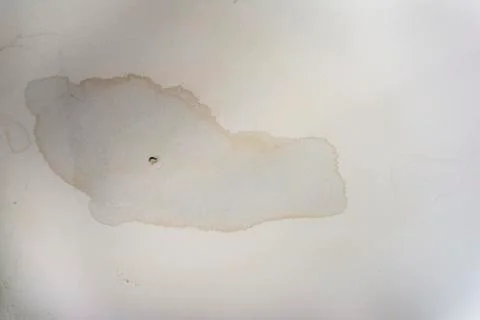 Interior Water Spots on Ceiling Mold Disrepair Damage Tiles Stock Photos