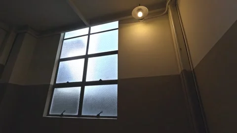 Interior Window: Diffused Light and Gridded Glass Stock Footage 310720267