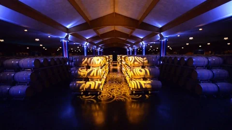 Interior of the wine cellar, Les Vignerons d'Uni-Mdoc, Gaillan-en-Mdoc. Stock Footage 69907436