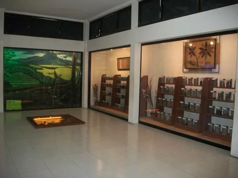 Interior of The Zoo Museum Stock Photos