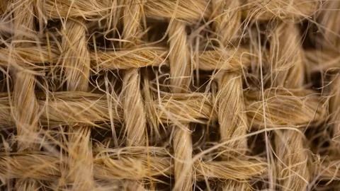 Interlacing Stock Photos