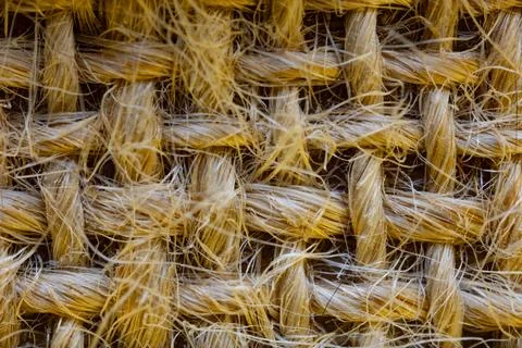 Interlacing Stock Photos