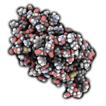 Interleukin 6 (il-6) molecule, chemical structure Stock Illustration