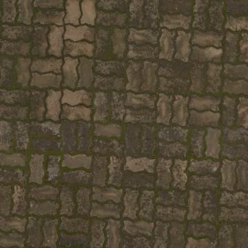 Interlocking Brick Pavement with Green Moss Stock Photos