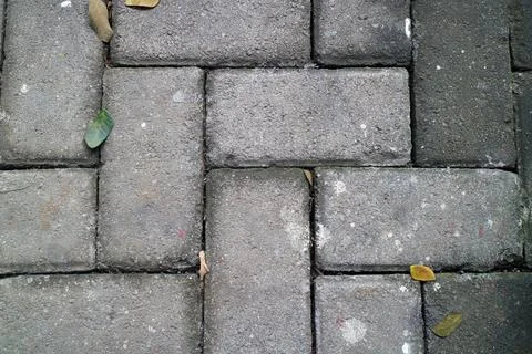 Interlocking Concrete Bricks with Scattered Dry Leaves Stock Photos