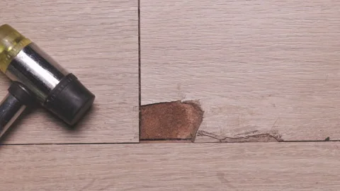The Interlocking laminate floor is chip or crack due to scratches and impac.. Stock Footage 304199010