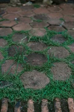 Interlocking pavement blocks with sprouting grasses, garden path texture Stock Photos
