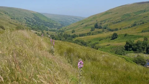 Interlocking Spurs in an Upland Valley Glens of Antrim Northern Ireland Stock-Footage 98283758