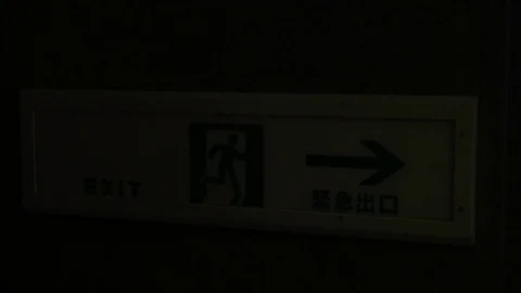 Intermittent exit sign Stock Footage 84039675