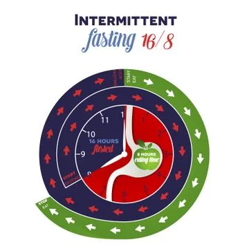 Intermittent fasting clock Stock Illustration