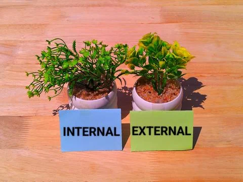 Internal and external concept Stock-Fotos