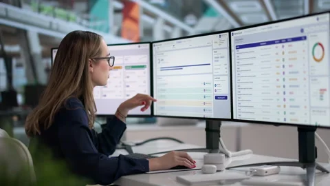 Internal Auditor Reviews Dashboard On Computer Stock Footage 340400191