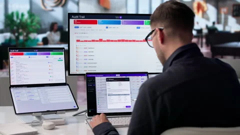 Internal Auditor Reviews Software Dashboard Stock Footage 339886503