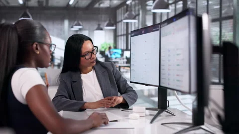 Internal Auditors Reviewing Logs On Computer Stock Footage 333401234