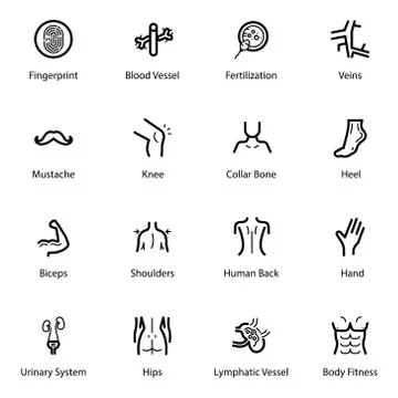 Internal Body Organs Line Icons Pack Stock Illustration