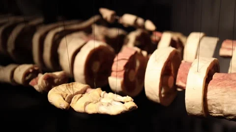 Internal body structure anatomy Stock Footage 331090369