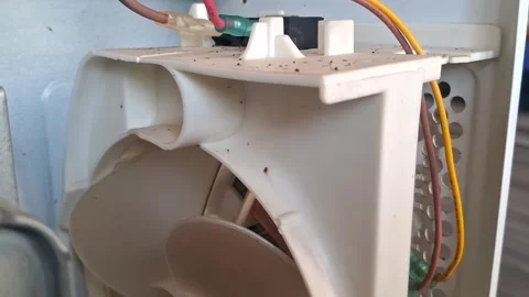 Internal cooling fan motion inside microwave appliance repair Stock Footage 346098298