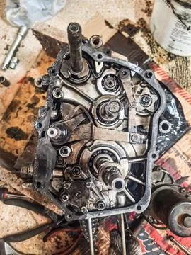 Internal gears 스톡 사진